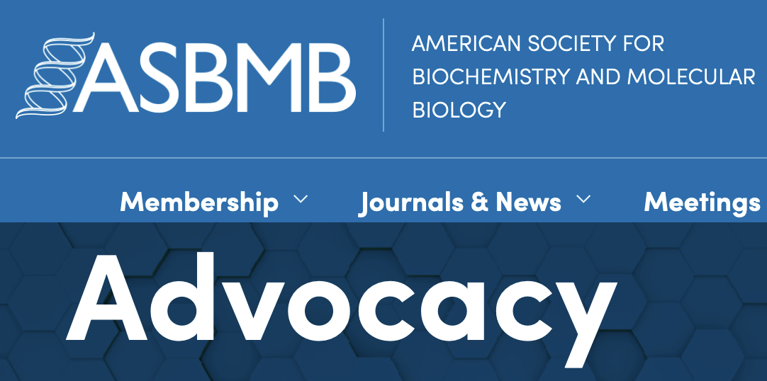 Screenshot 2023-12-09 at 1.02.14 AM